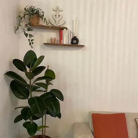 Jolie Maison En Centre Avec Climatisation Grand Lit Double Arles